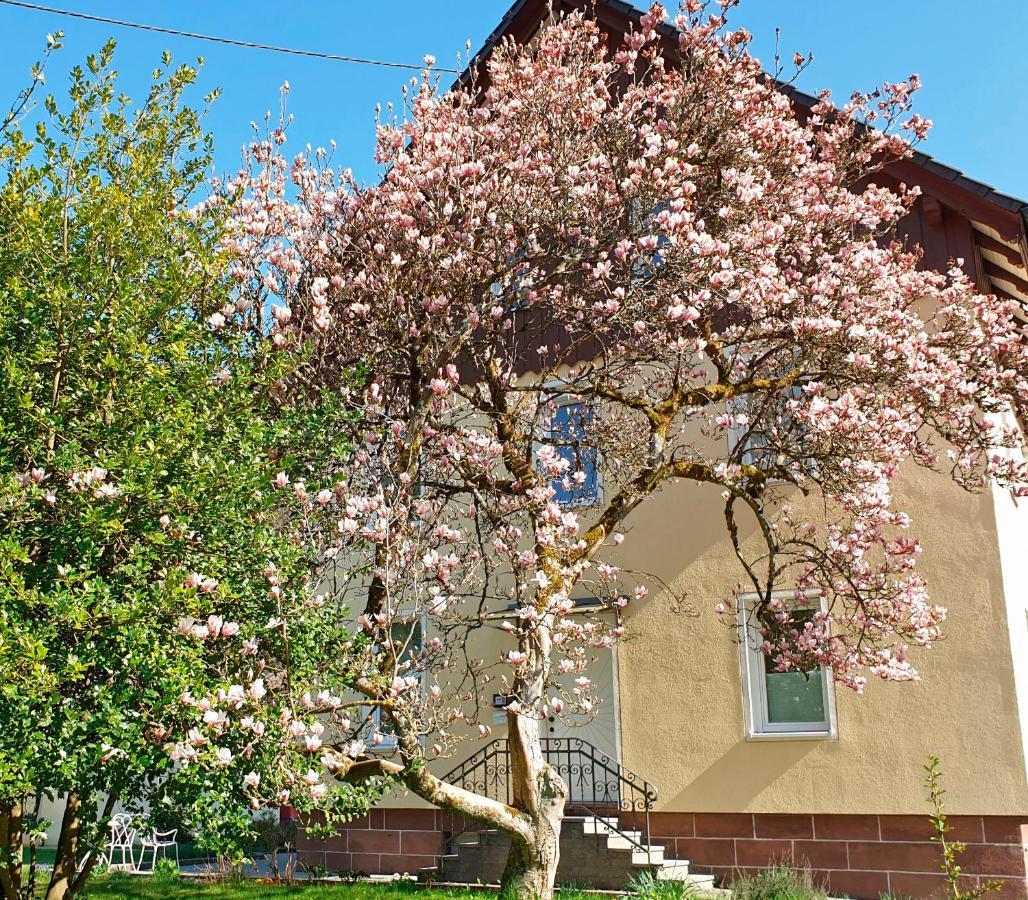 Liebevoll Gaestewohnungen Alpirsbach Exteriér fotografie